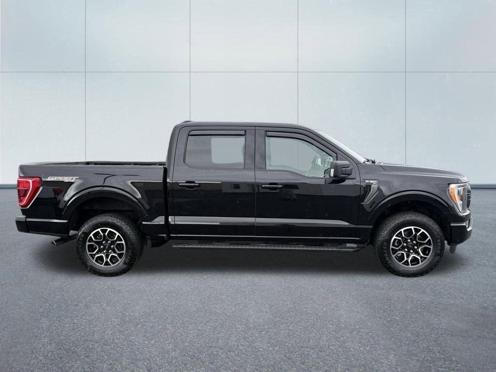 2023 Ford F-150 — interior view